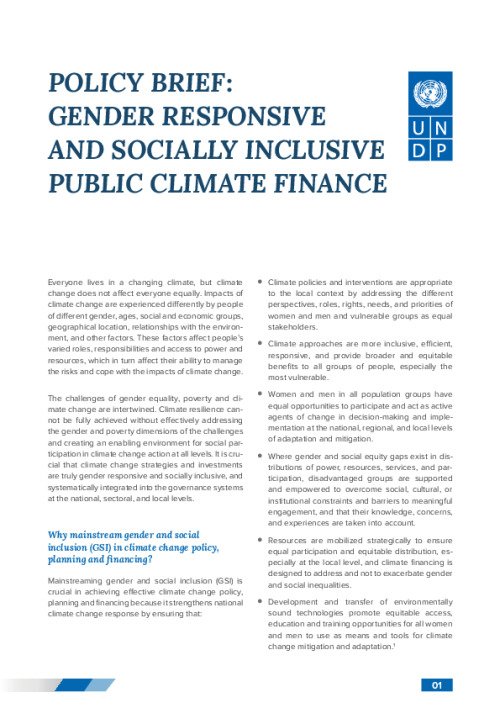 Policy Brief: Gender Responsive and Socially Inclusive Public